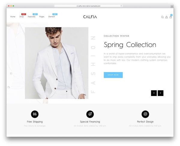 Silver Shopify Web Design Plan